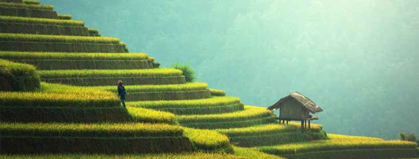 terraces Viet Nam